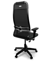 Back