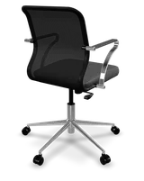 Back