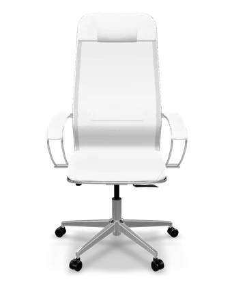 ErgoLife Set Comfort mesh + eco-leather ergonomic office chair in white