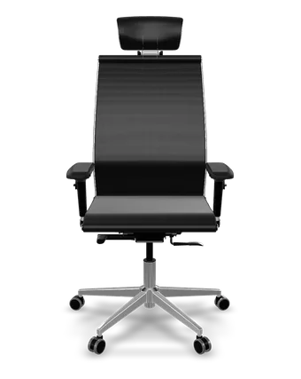 ErgoLife Set TV mesh ergonomic office chair