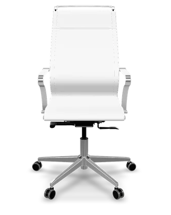 ErgoLife Sit Well B2-195 eco-leather ergonomic office chair in white