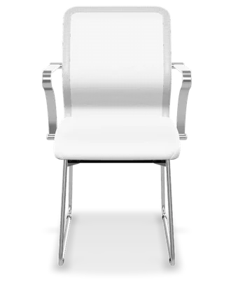 ErgoLife Sit 8 M4-9 X2+Extra mesh + eco-leather ergonomic office chair in white