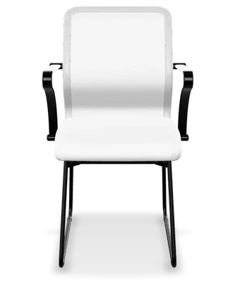 ErgoLife Sit 8 M4-9 X2+Extra mesh + eco-leather ergonomic office chair in white
