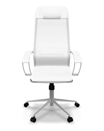 ErgoLife Set 5 mesh + eco-leather ergonomic office chair in white