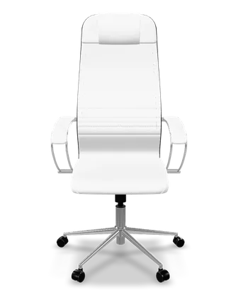 ErgoLife Set 17 eco-leather ergonomic office chair in white