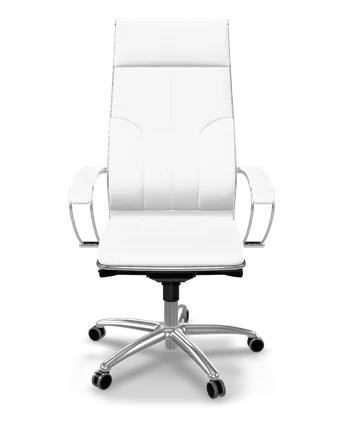Samurai L1-11 eco-leather ergonomic office chair in white